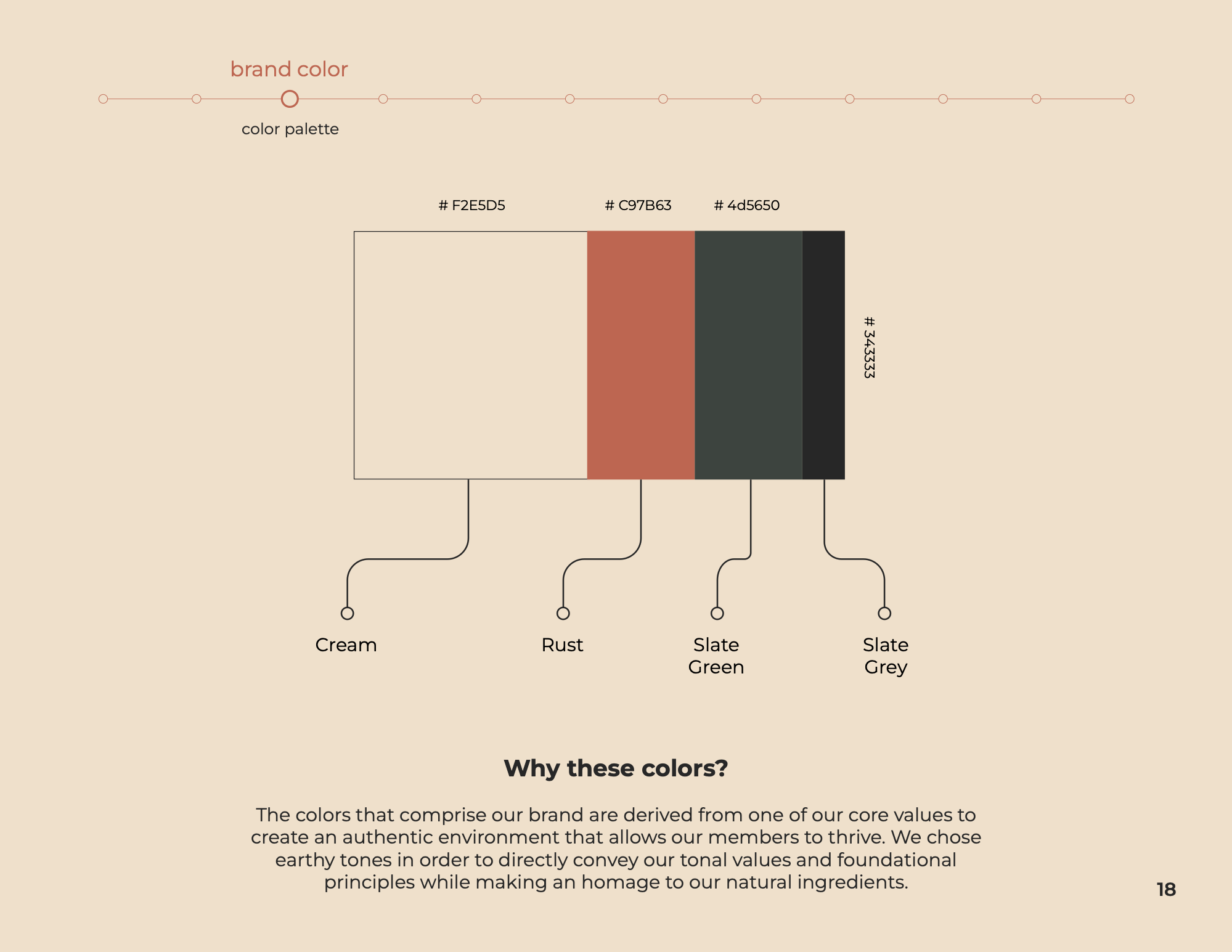 Tonum colour palette — Cream, Rust, Slate Green, and Slate Grey, with the reasoning behind them.